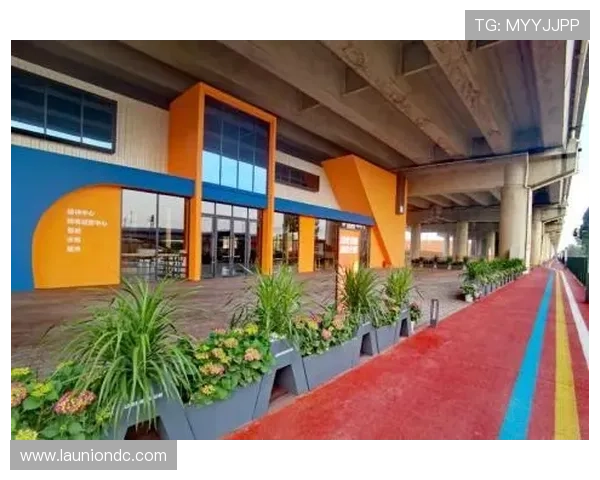 如何通过熊猫体育直播获取最新体育资讯和赛事分析，成为体育资讯的第一手来源